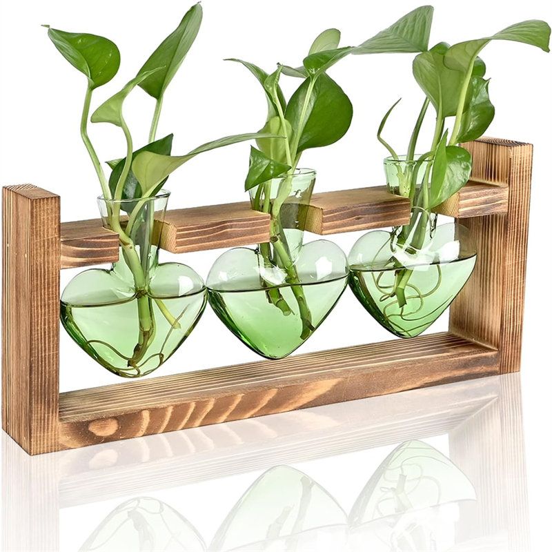Millwood Pines Plant Terrarium Propagation Stations Hydroponics Home Garden Decoration Gift for Women With Wooden Stand Heart Shaped Colored Glass Vase | Wayfair