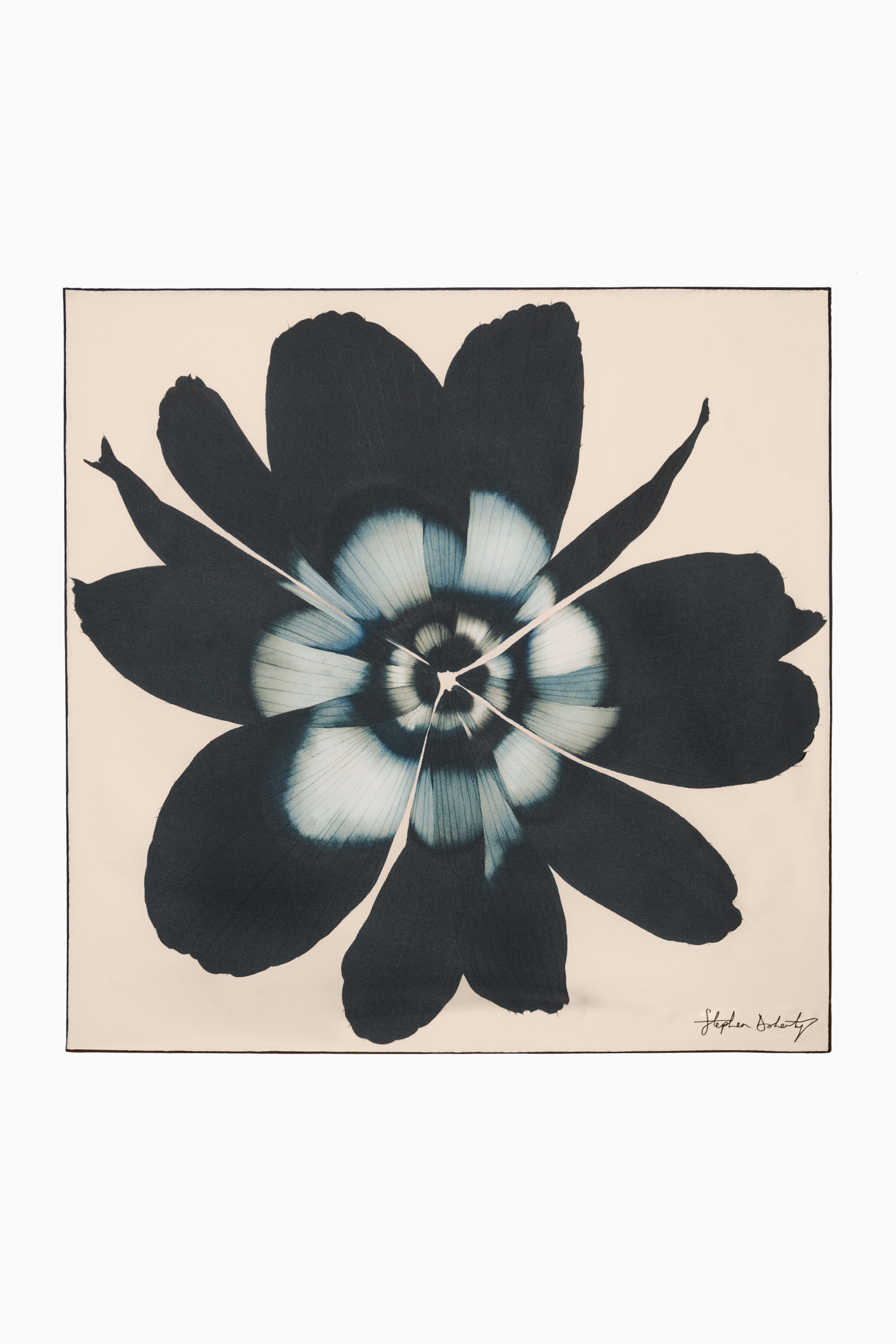 Floral-Print Pure Silk Scarf