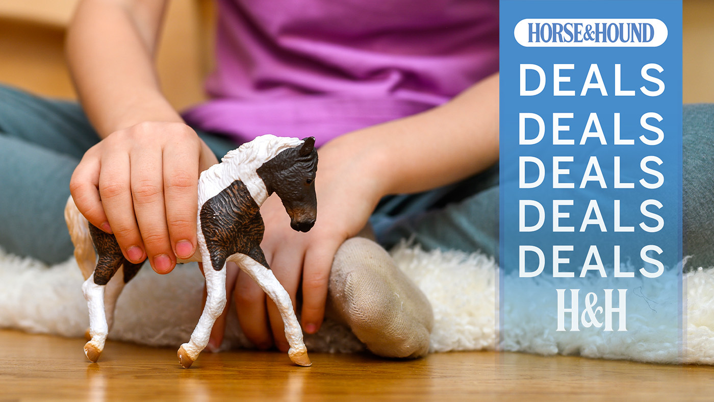 Child playing with a toy pony. H&amp;H deals overlay