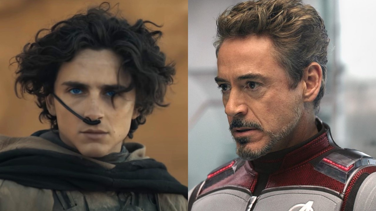 Timoth&eacute;e Chalamet stars in Dune: Part Two, while Robert Downey Jr. stars in Avengers: Endgame.