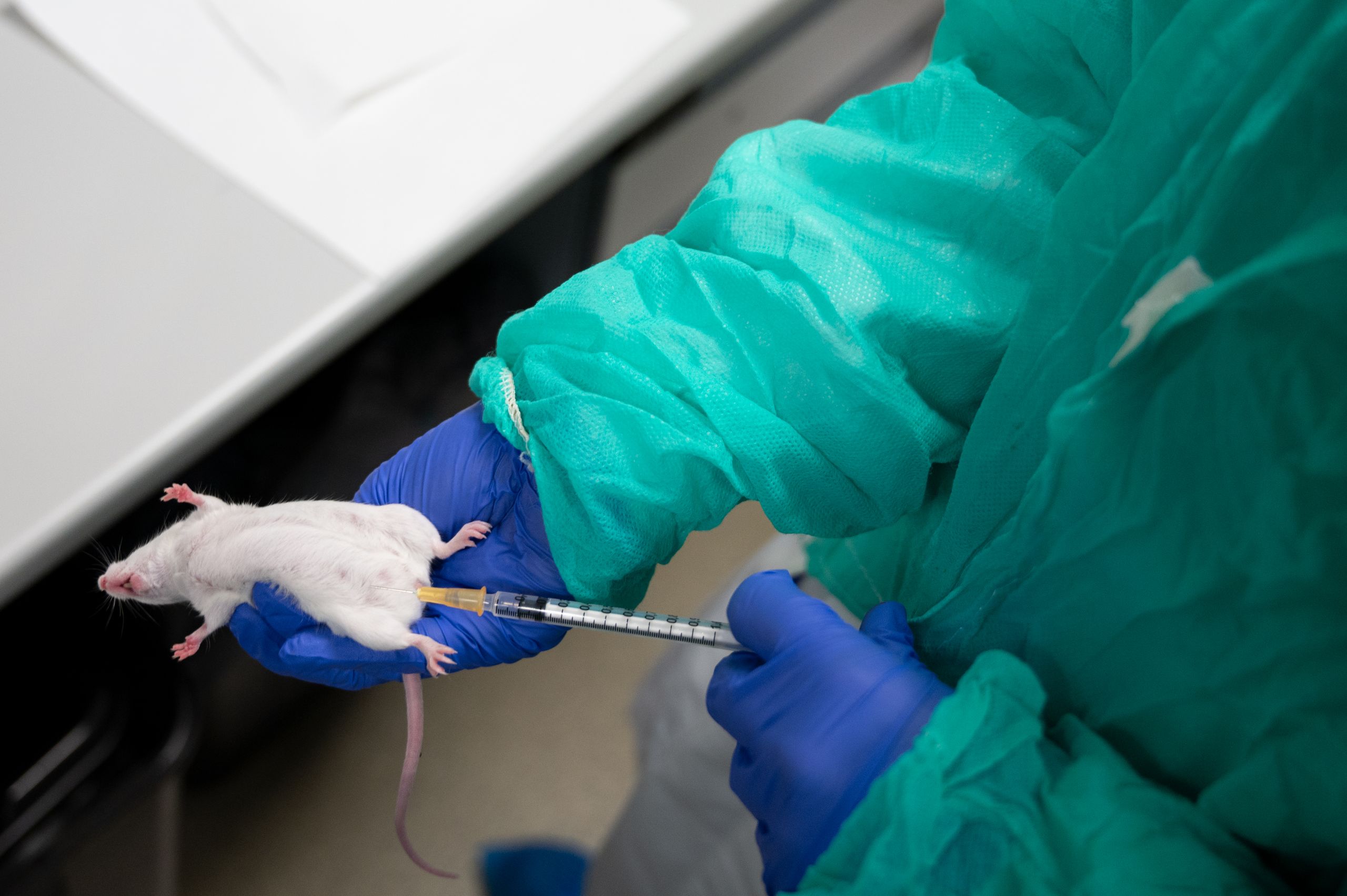 UK Sets Plan to Phase Out Animal Testing