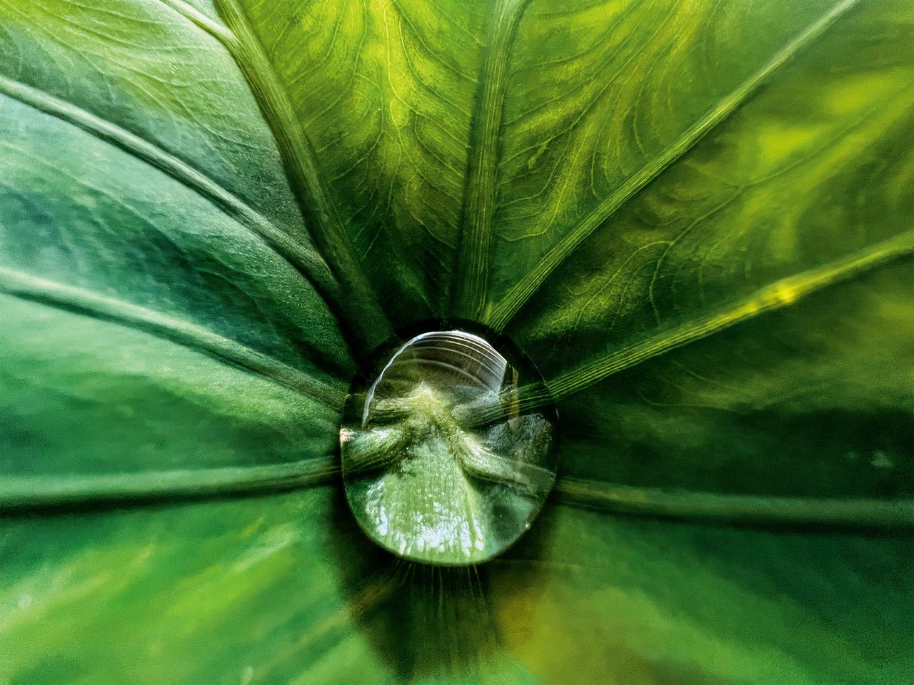 Hidden Gem iPhone 13 Pro Max