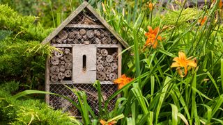 Insect house in summer garden