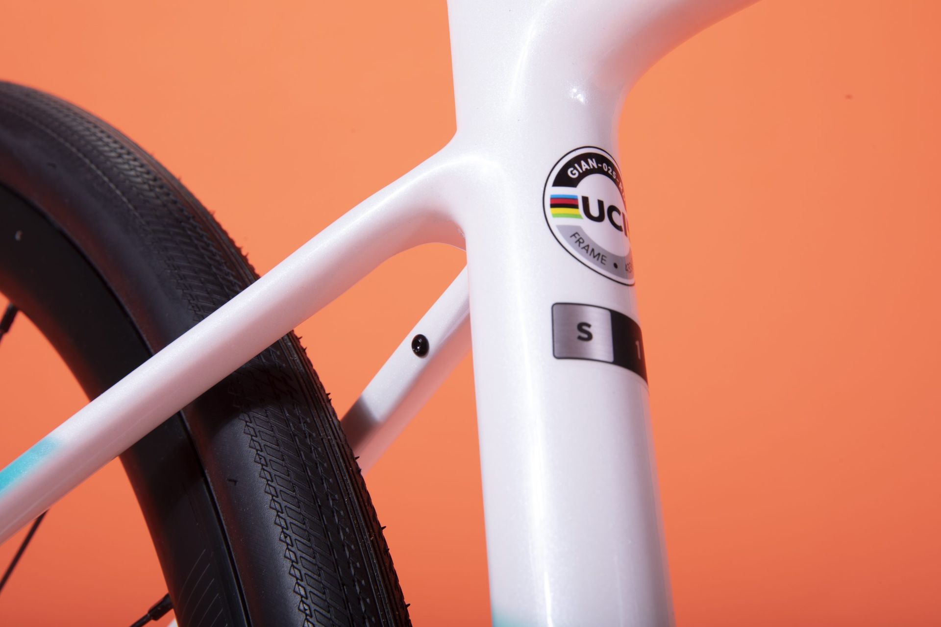 Liv Avail Advanced 1