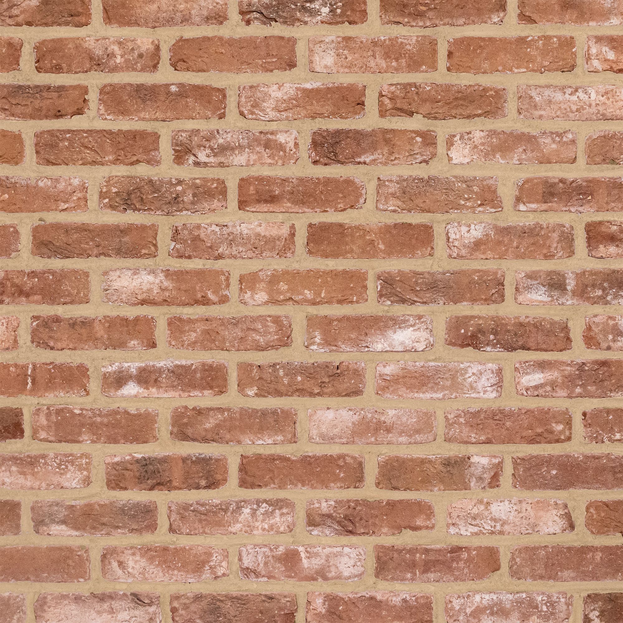 The Brick Tile Company Reclaimed Tumbled Red Brick Slip (l)215mm (w)65mm (t)22mm Pack of 35