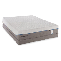 Tempur-Cloud mattress:  $1,189.30