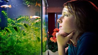 Child watching fish in fish tank