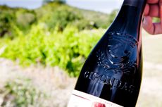 Gigondas 2013 and 2014