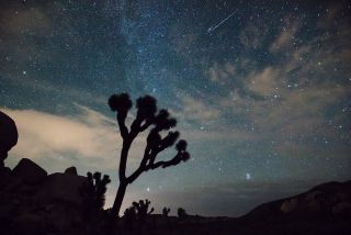 A Perseid meteor streaks over Joshua Tree National Park in 2015. The Leonid meteor shower of 2018 will peak over night on Nov. 17 and 18.