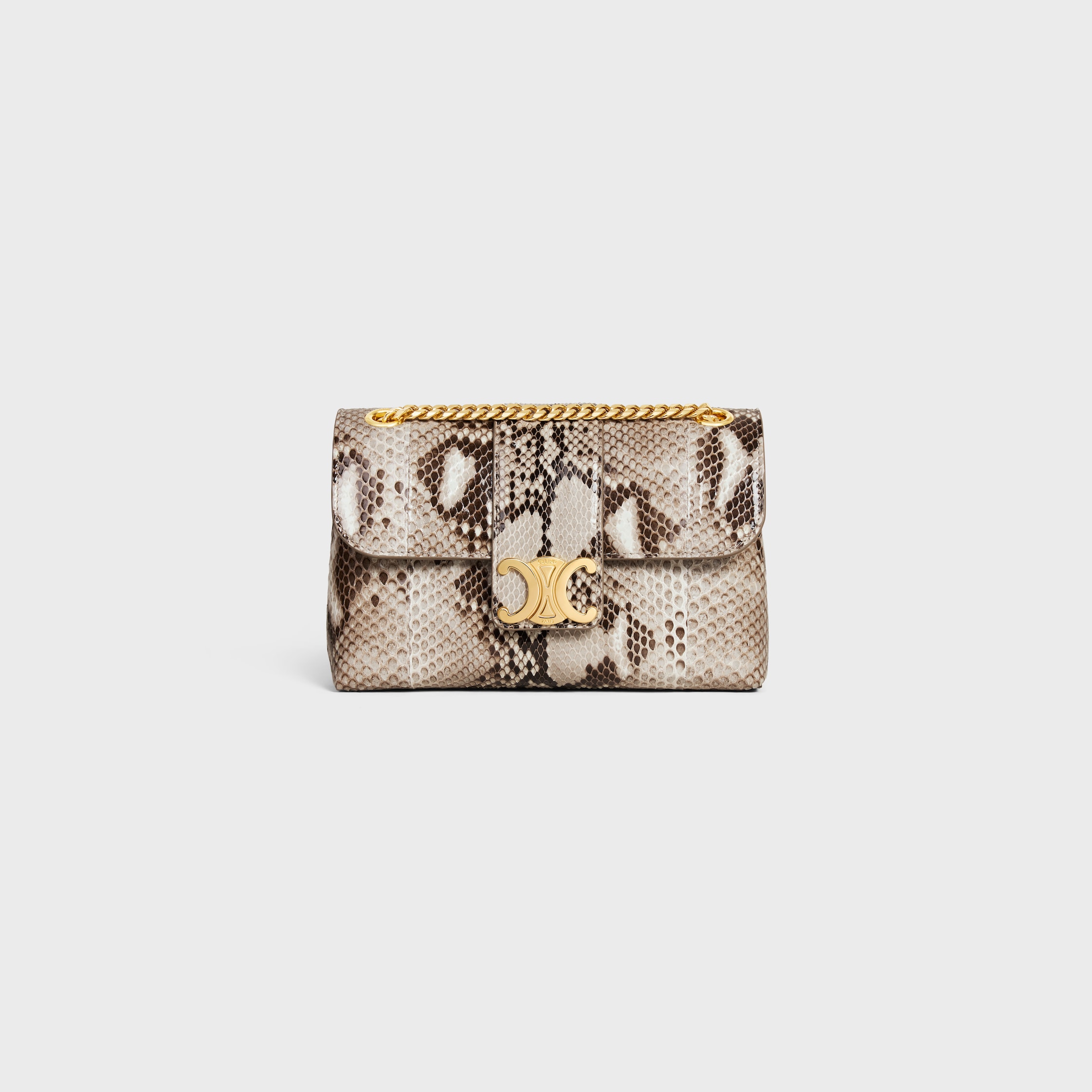 Teen Celine Victoire Bag in Python