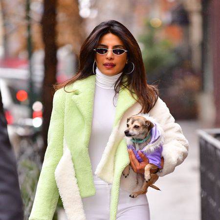 Clothing, Street fashion, White, Fashion, Pink, Outerwear, Beauty, Fur, Companion dog, Coat, 