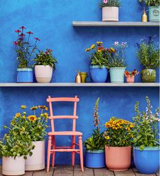 How to paint an exterior wall with blue paint and shelf