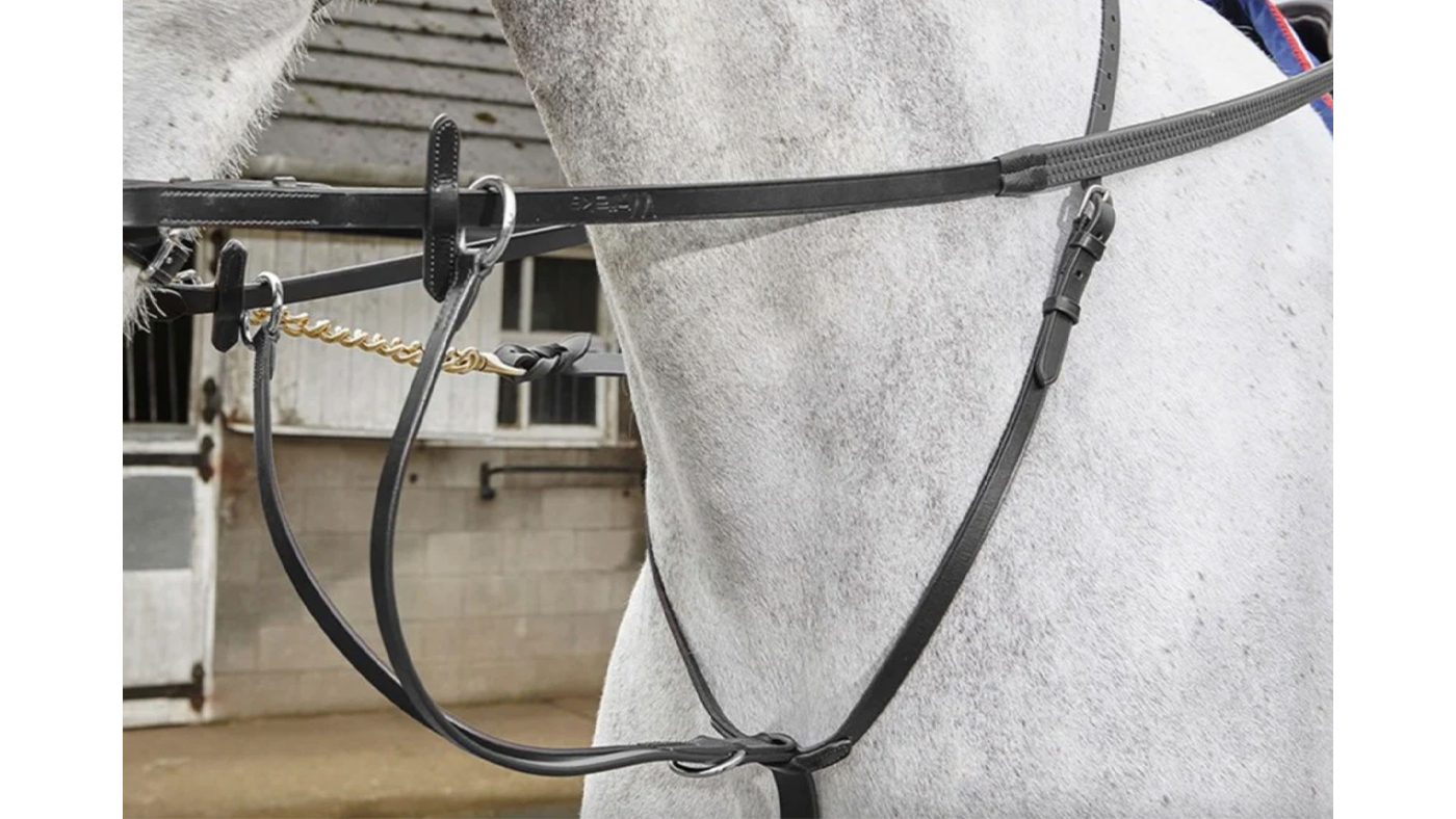 Whitaker Lynton Running martingale for horses