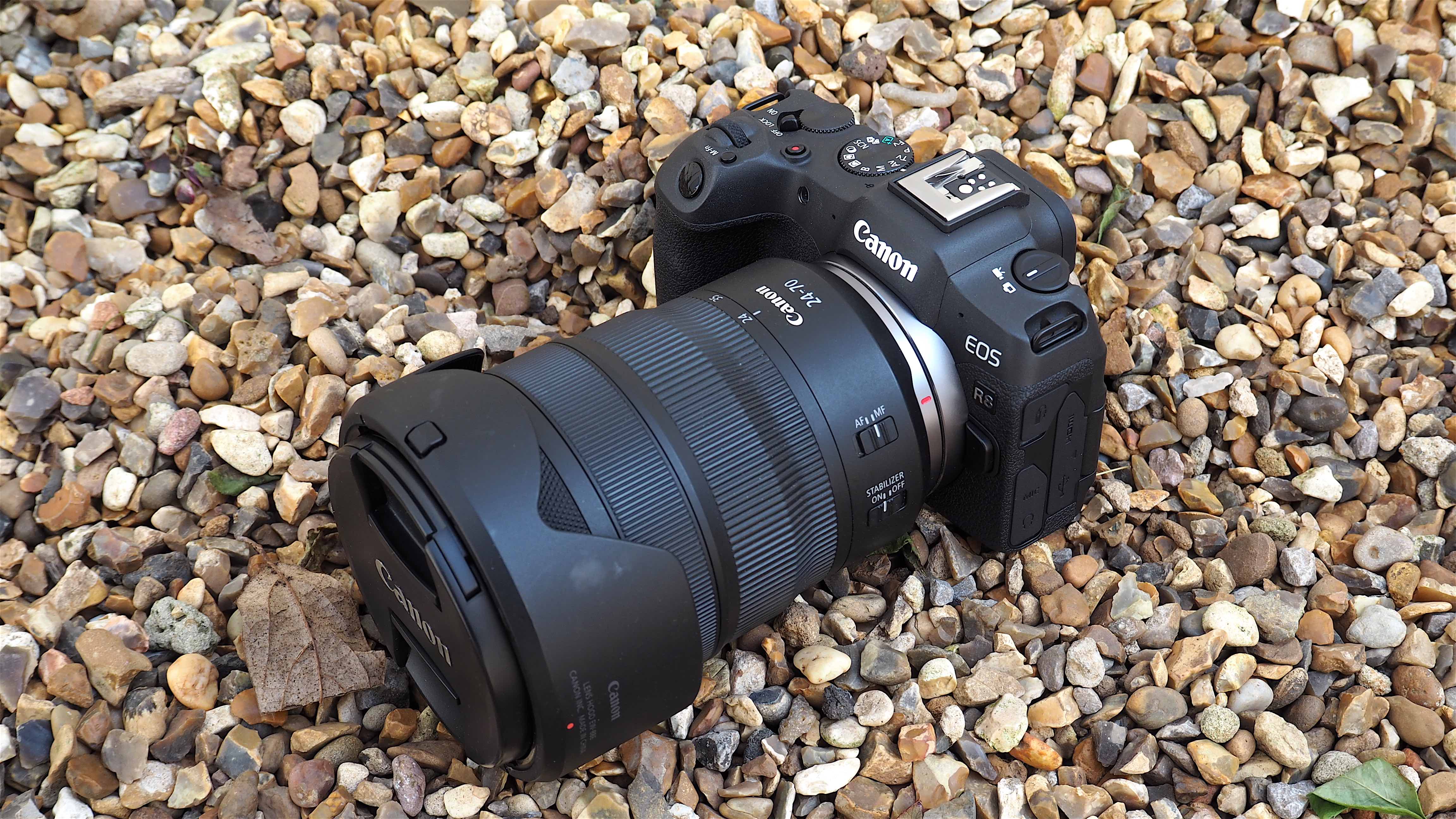 Canon EOS R8 Review: The Best Full-frame Camera For…