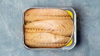 mackerel in tin