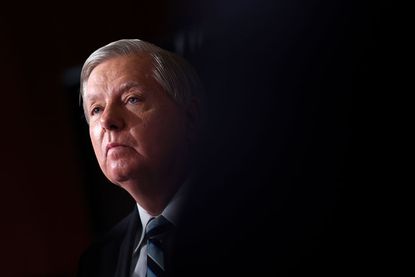 Sen. Lindsey Graham.
