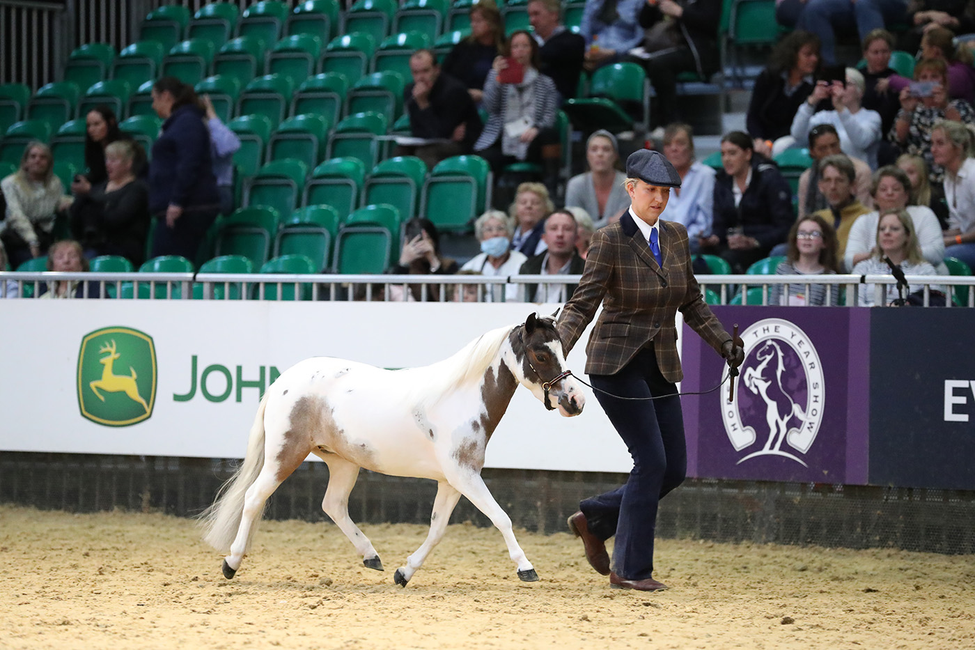 HOYS miniature championship