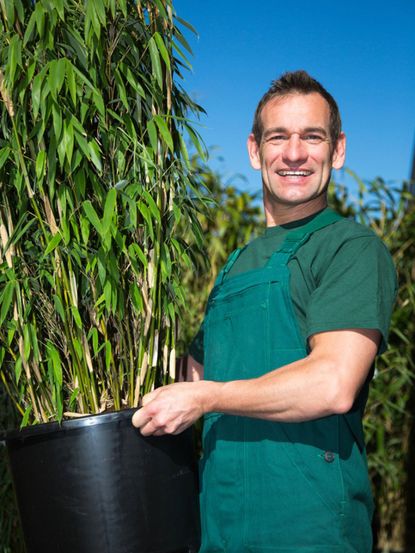 Large Bamboo Man