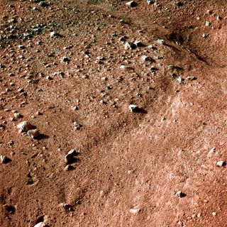 This image shows a polygonal pattern in the ground near NASA's Phoenix Mars Lander, similar in appearance to icy ground in the arctic regions of Earth. This is an approximate-color image taken shortly after landing on May 25, 2008.