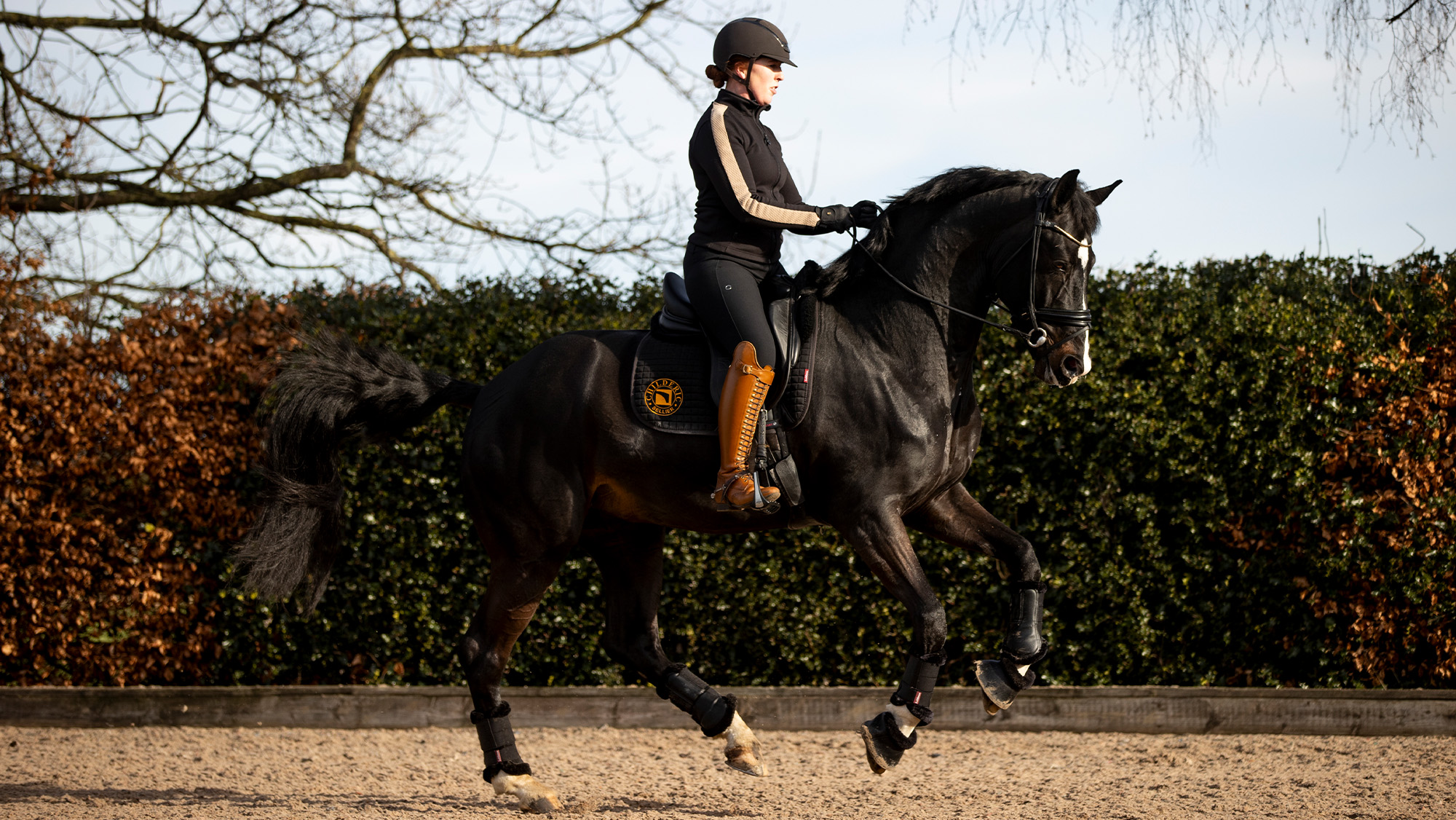 Becky Moody riding a flying change