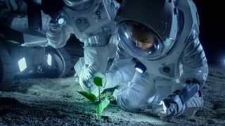astronauts in spacesuits look at a tiny plant growing from the surface of a moon or planet