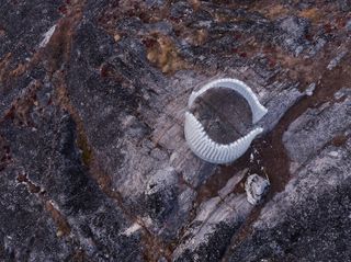 Daytime aerial view of the Qaammat glass pavilion on top of the rocky terrain