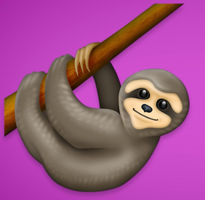 sloth-1556647277-GdCf-column-width-inline