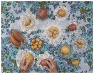 Top-down view of potatoes on a tablecloth