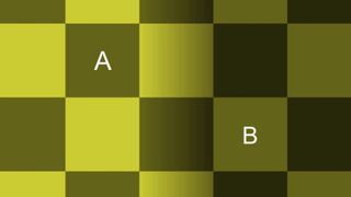 Checker shadow optical illusion 