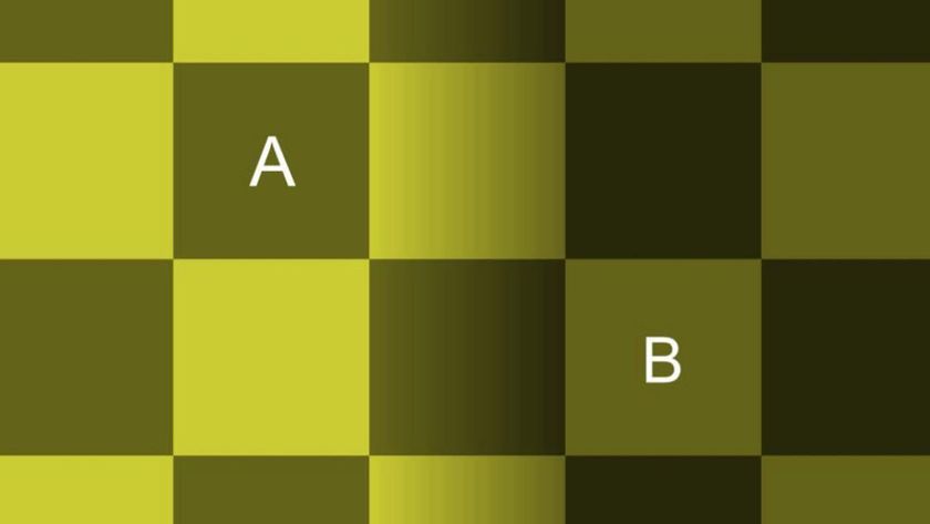 Checker shadow optical illusion 