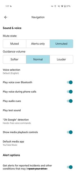 Google Maps with playback controls settings