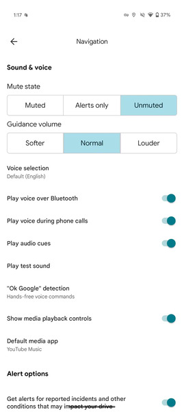 Google Maps with playback controls settings