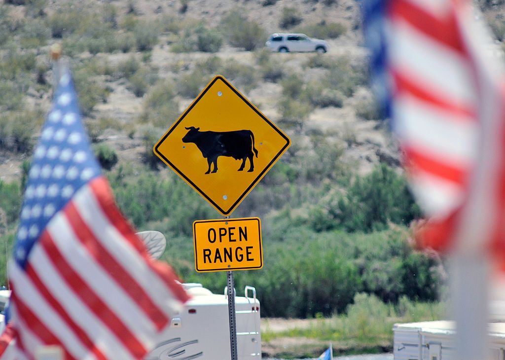 Bureau of Land Management