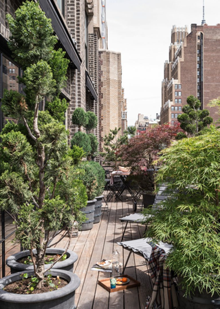 an urban balcony with lots of potted trees trees. There are also chairs scattered around for people to sit on.