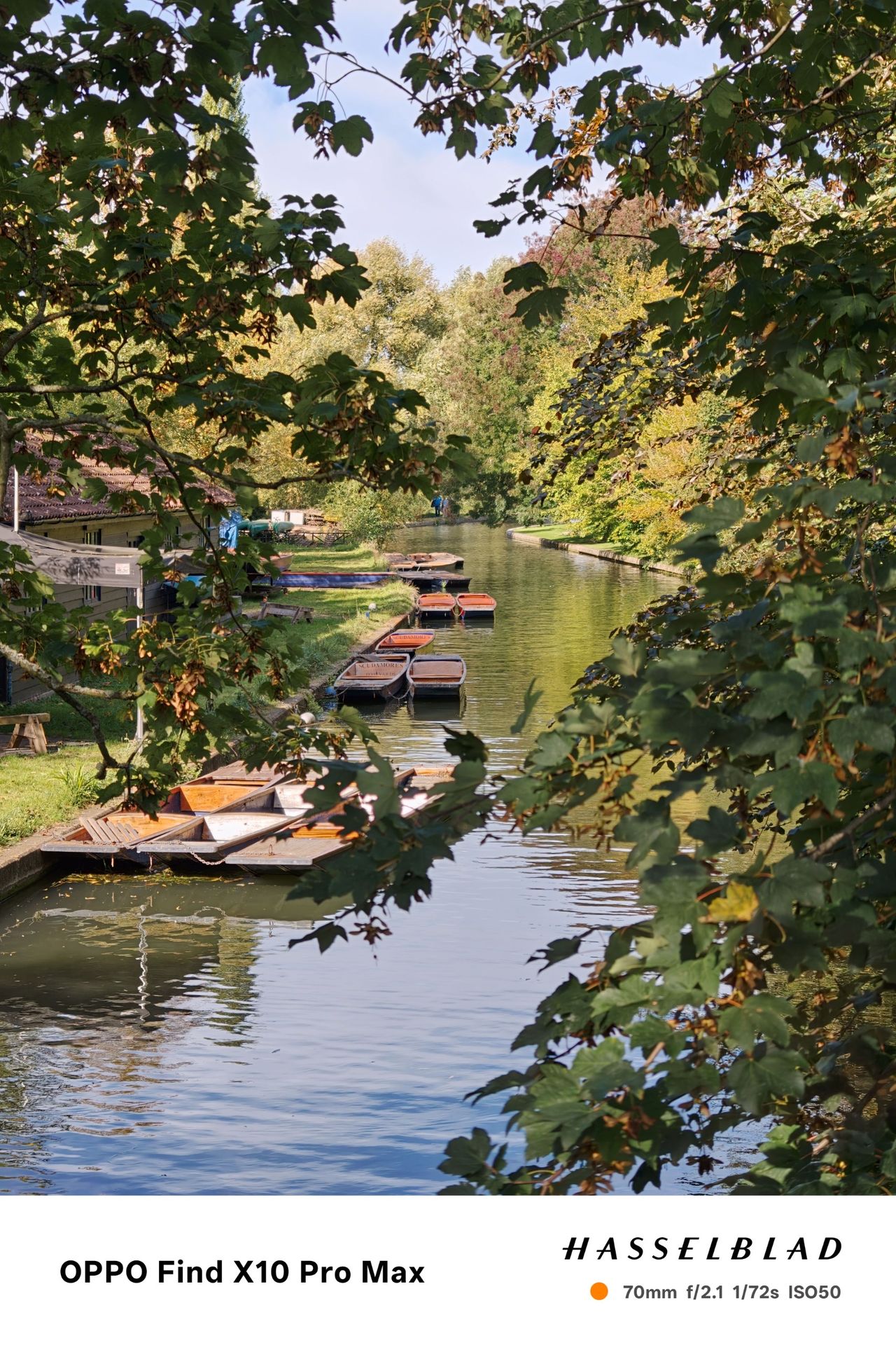 Punts moored along a narrow river framed by overhanging leaves.