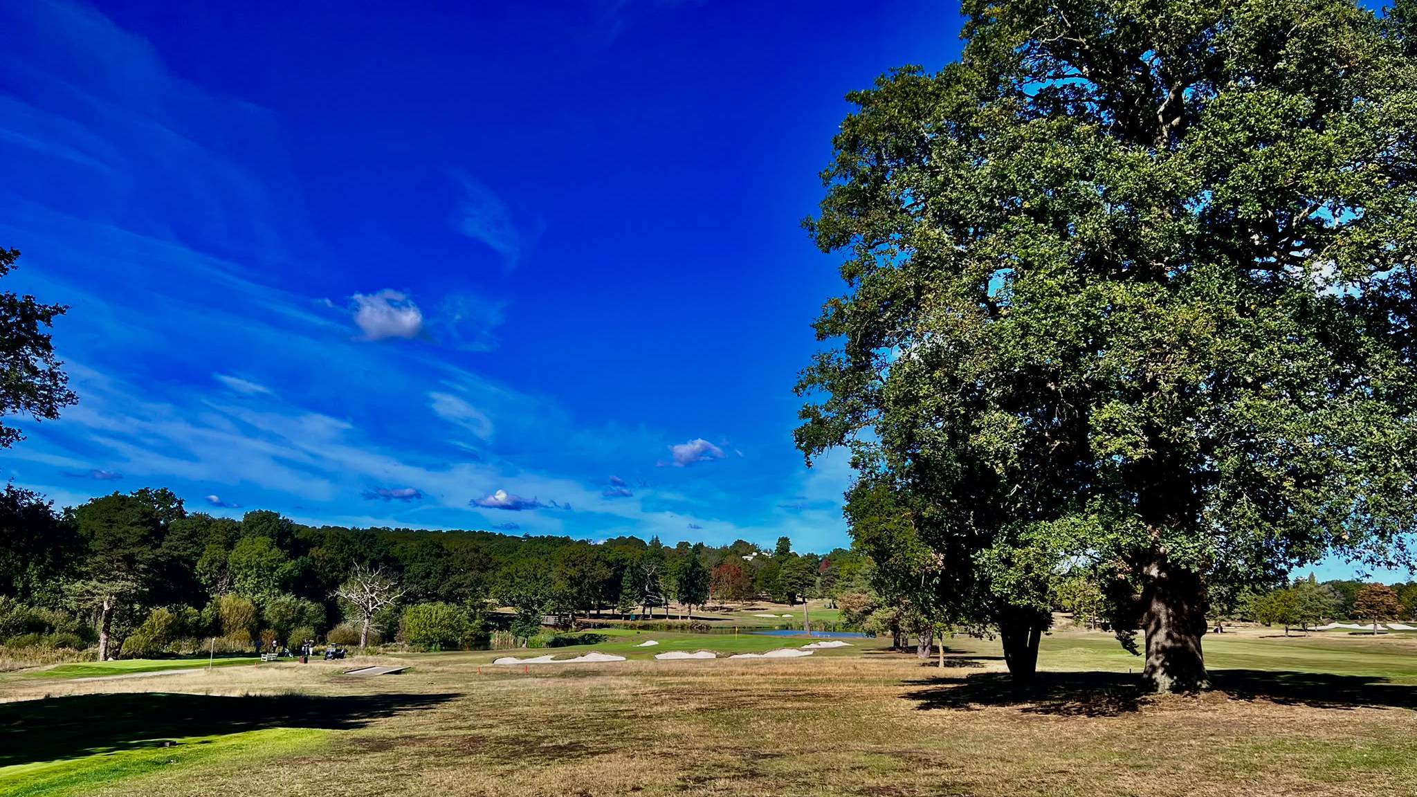 Beautiful blue sky on an autumn day at Hadley Wood Golf Club