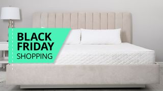 A bare white mattress and two pillows sit on top of a beige bed in a pale grey bedroom. In the front of the picture, there is a green Black Friday Shopping banner.