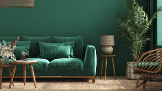 Living room with green coiour scheme