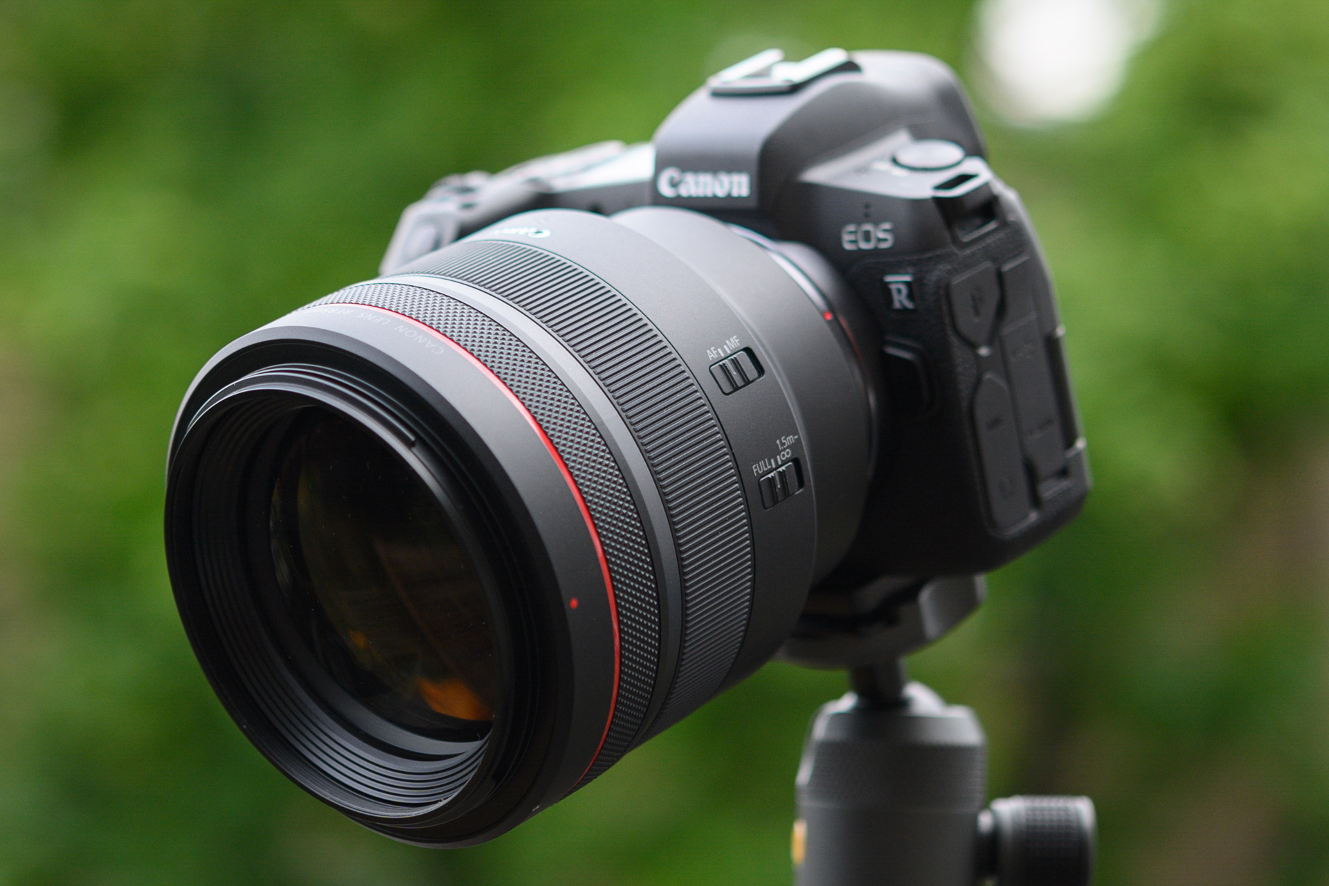 Canon RF 85mm f/1.2L USM review | TechRadar