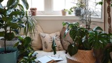 a cozy book nook with pillows, plants, cushions and more near a window