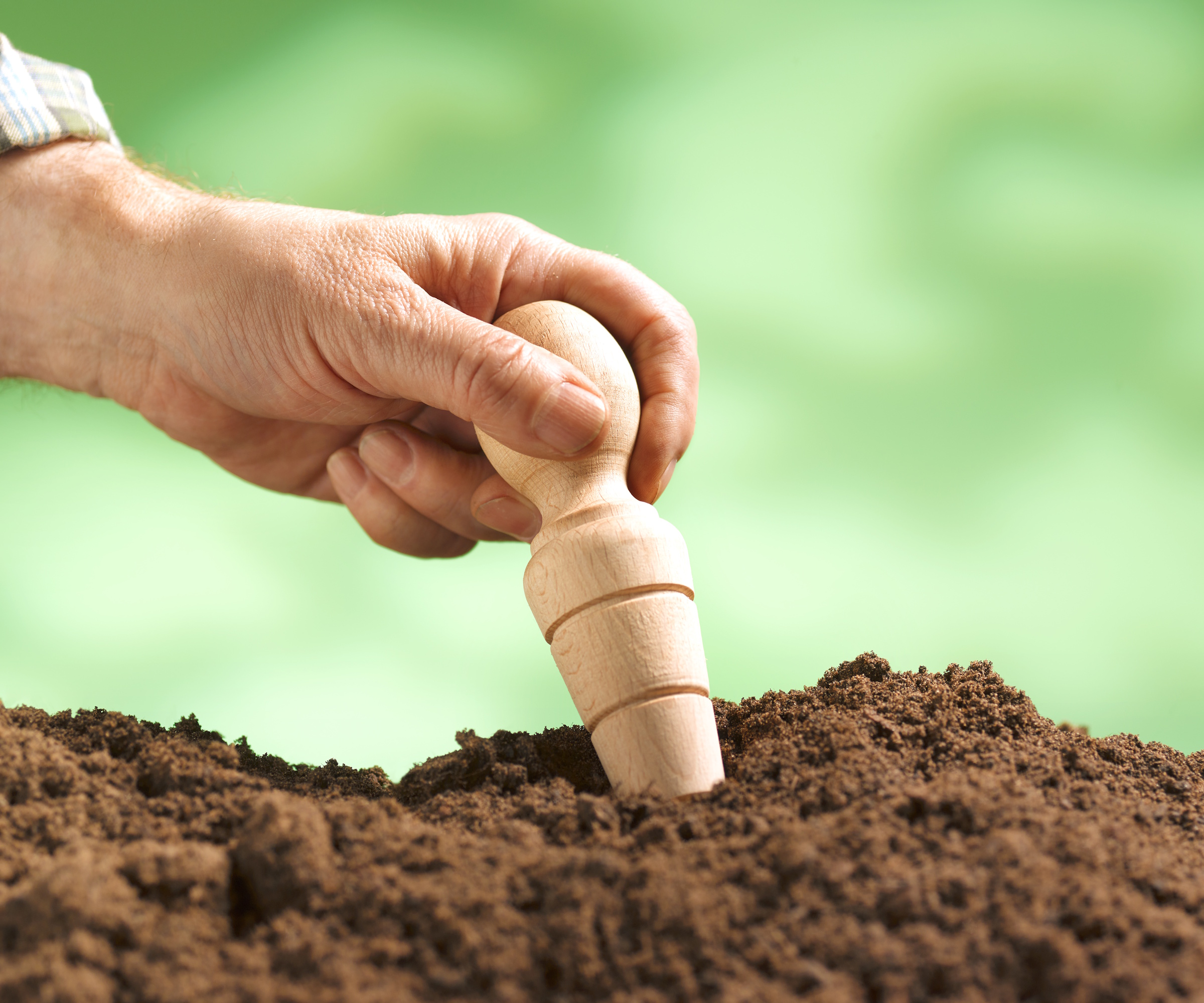 Bulb dibber for planting