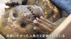 The head and torso of the mummy, which likely belonged to a small monkey.