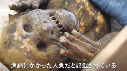 The head and torso of the mummy, which likely belonged to a small monkey.
