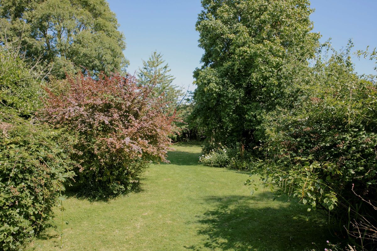A vast garden with hidden paths in the bushes