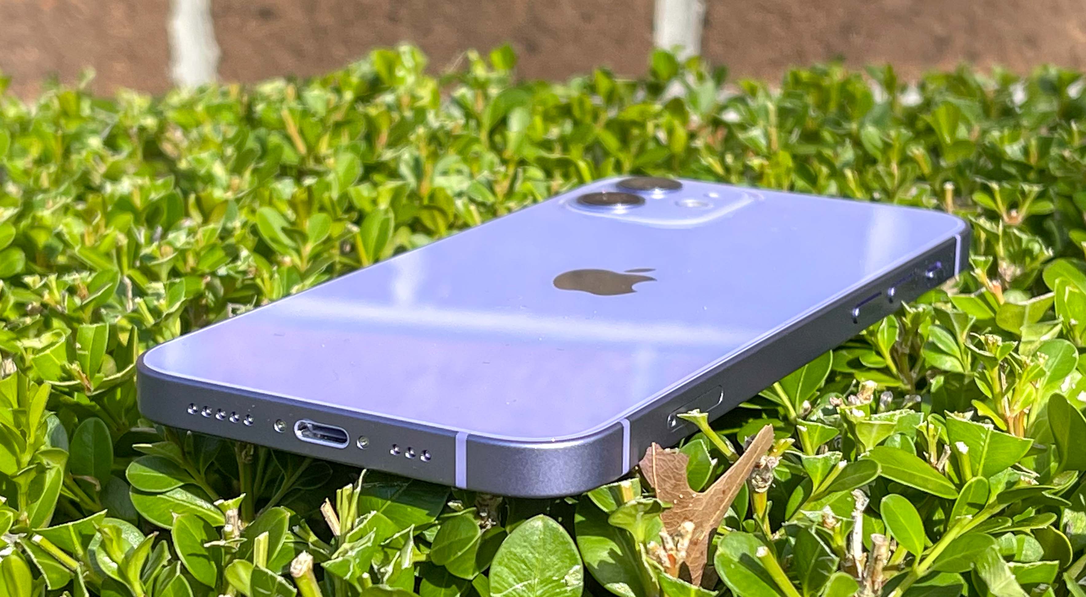 Purple iPhone 12