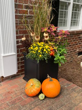 a fall planter with pumpkins