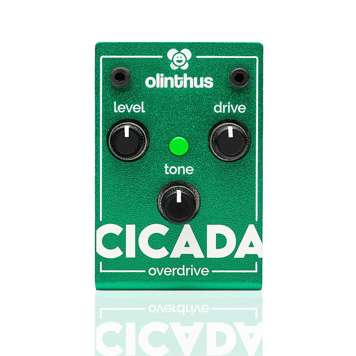 Images of the Olinthus Cicada overdrive pedal