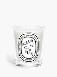 Diptyque Fleur de Cerisier Candle
