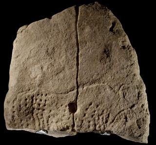 Archaeologists discovered this 38,000-year-old engraved image of an aurochs in a rock shelter in France. 