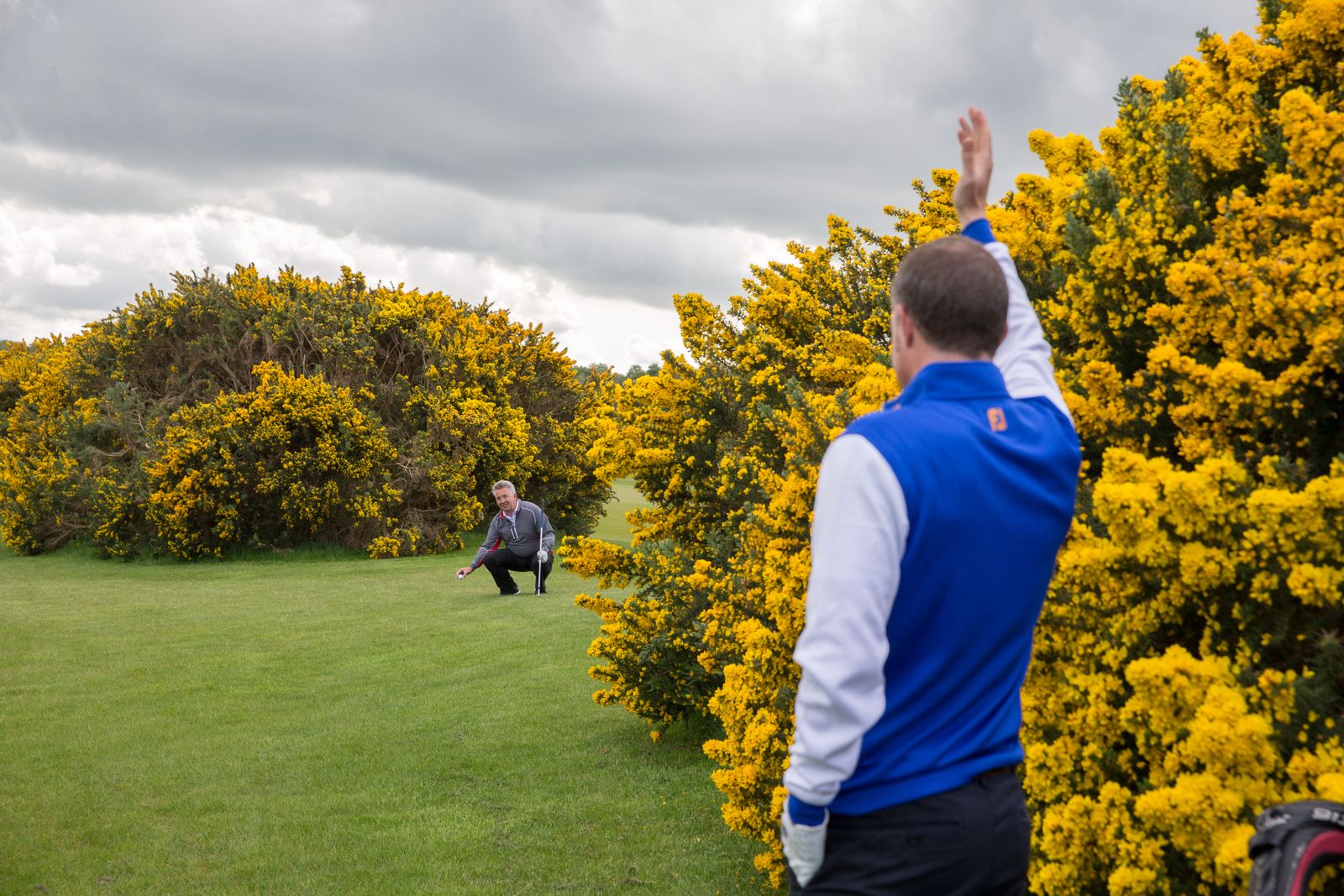 What Are Your Options If Your Ball Is Unplayable? Golf Monthly